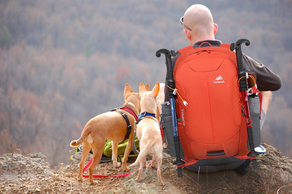 mochila 40l viaje excursionismo camp caminata portatil deportes al aire libre daypack impermeable mochila trekking subir bolsas de vuelta para hombres mujeres negras