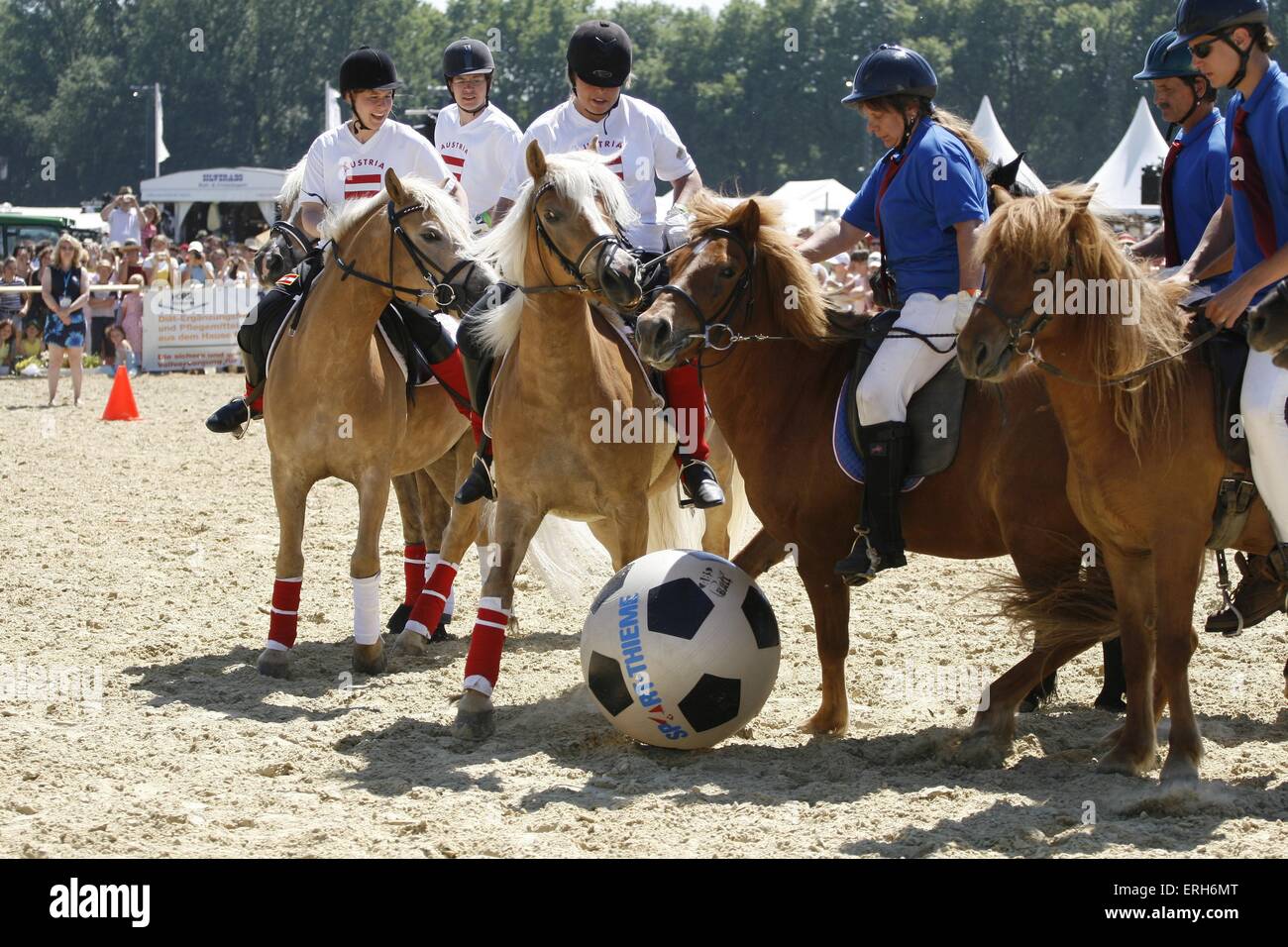 Equitación deportiva de fútbol: marcas líderes, calidad garantizada 2 equitacion deportiva de futbol